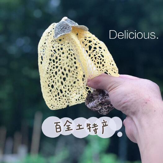 兴文县竹荪
