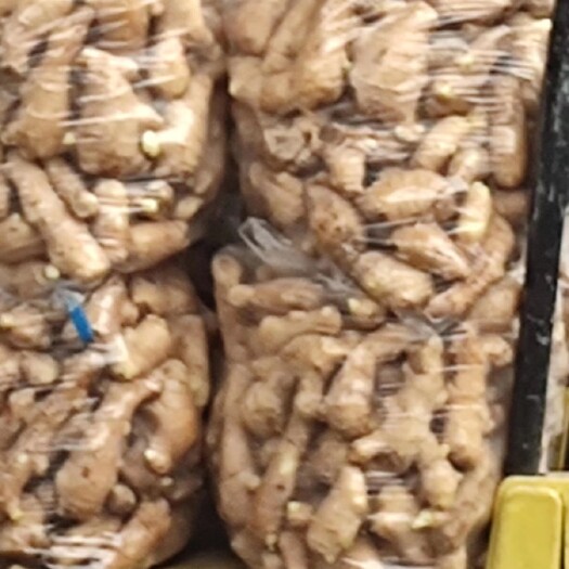 昌邑市大块姜巴，优质姜种道