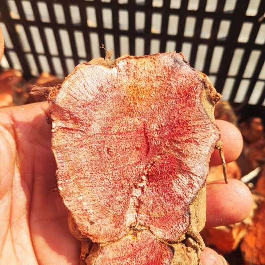 石屏县土茯苓干片红肉