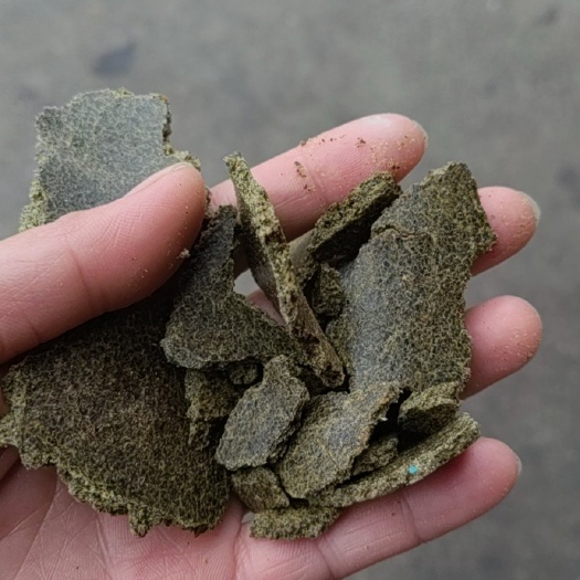 固始县菜籽饼饲料