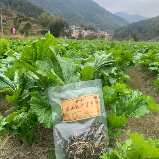 信宜市钱排龙山大芥菜干