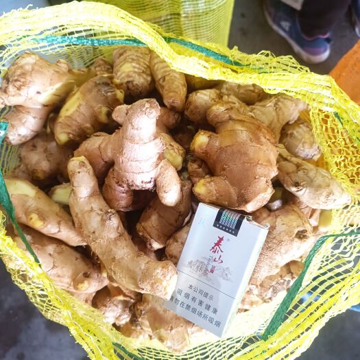 安丘市生姜水洗姜巴姜种道