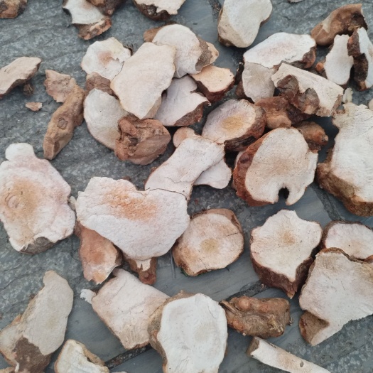 贵阳无硫土茯苓干品白肉粉质，手工砍 味道浓厚，无苦味，