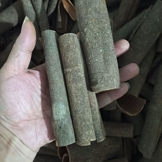 东莞市全干桂皮 桂段 肉桂