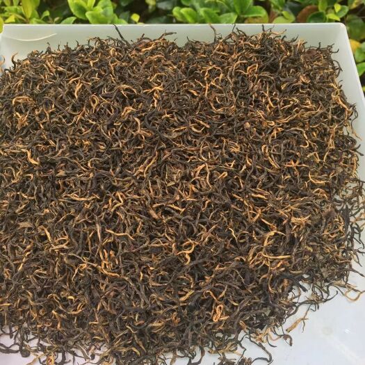 金骏眉红茶 高山小种红茶浓香型批发2023新茶500g散装