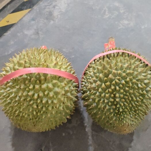 昆明泰国托曼尼榴莲供应电商支持代发货包邮包售后现货秒发批发零售