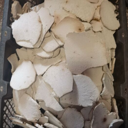 楚雄市云南茯苓新鲜发货中药材