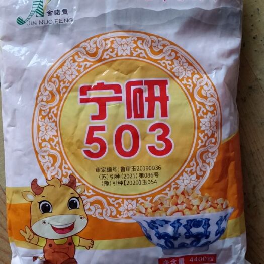 嘉祥县玉米种子，矮杆玉米种子