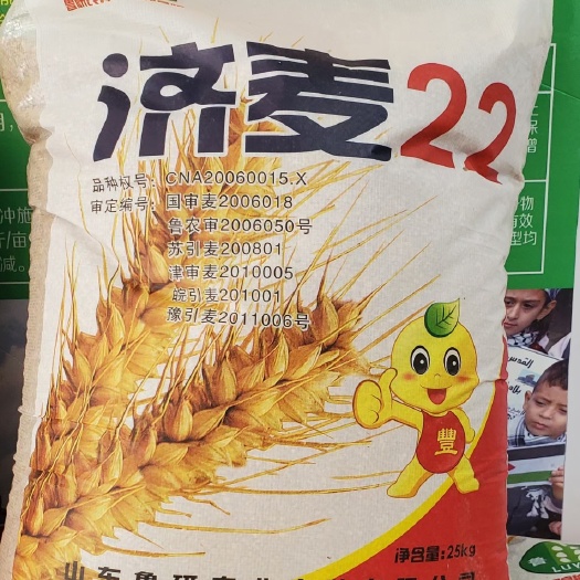 青岛济麦22，2000亩，良种繁育基地