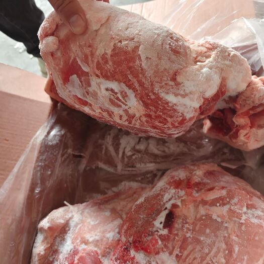 石家庄去皮带膘后腿肌肉，石家庄新货