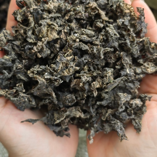 淅川县专业做地皮菜，又名地衣，地软，批发1斤泡10斤