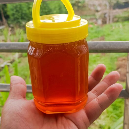 云霄县土蜂蜜，无加工，自己家放养蜜蜂，寻找线上合作伙伴