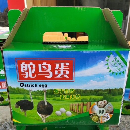 元氏县京禧赋农养殖场----直供鸵鸟蛋，批发零售均可！快递物流发货