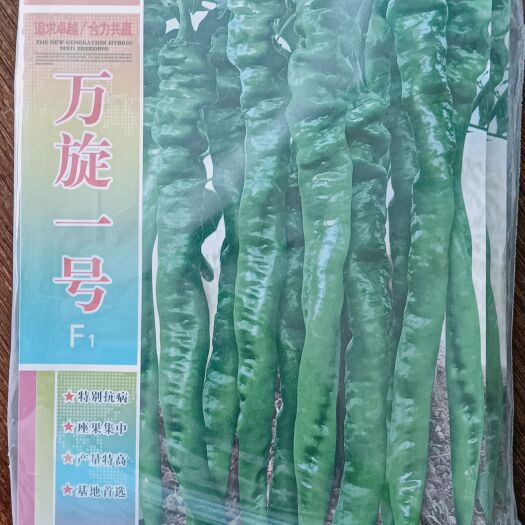 通海县螺丝椒苗