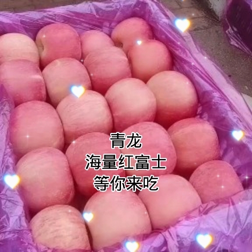 青龙县纯山地红富士，口感脆甜，色泽鲜亮