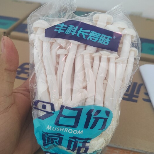 修文县白玉菇和蟹味菇