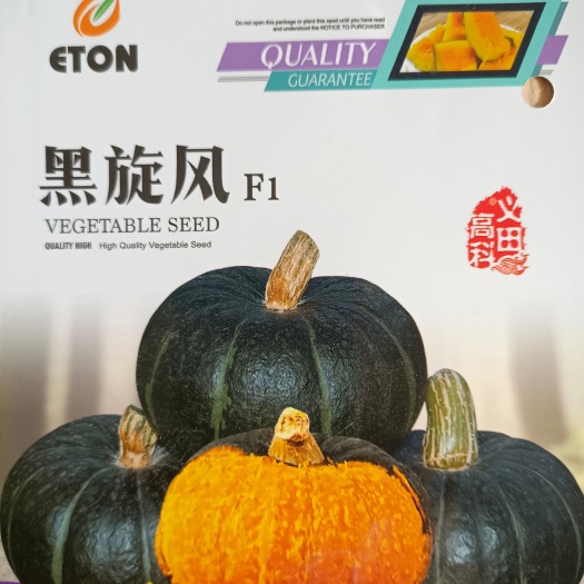 金塔县黑旋风贝贝南瓜，软糯香甜，结瓜多。