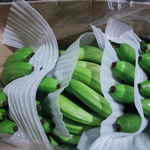 大邑县精品云南二黄香蕉，三把蕉，无黑心，无硬心。货源充足