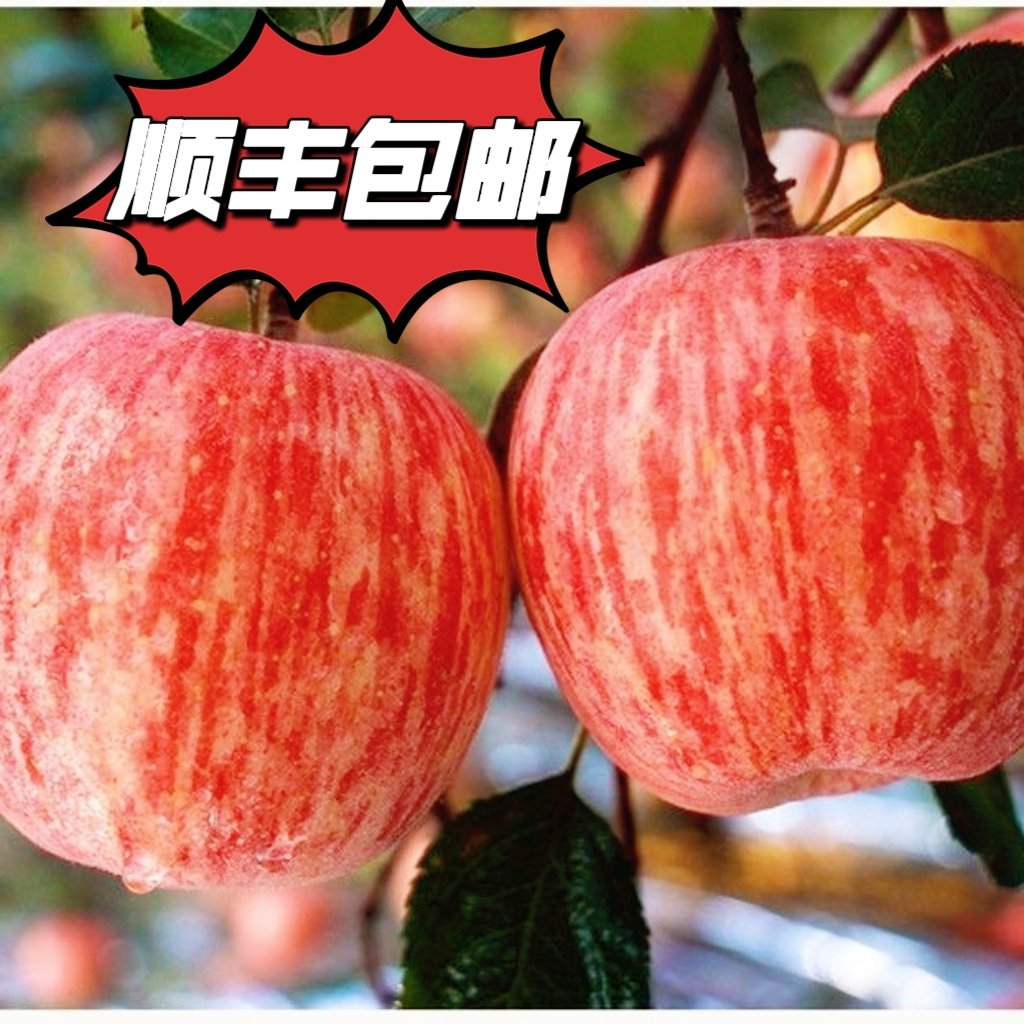 山西果花香果業(yè)有限公司