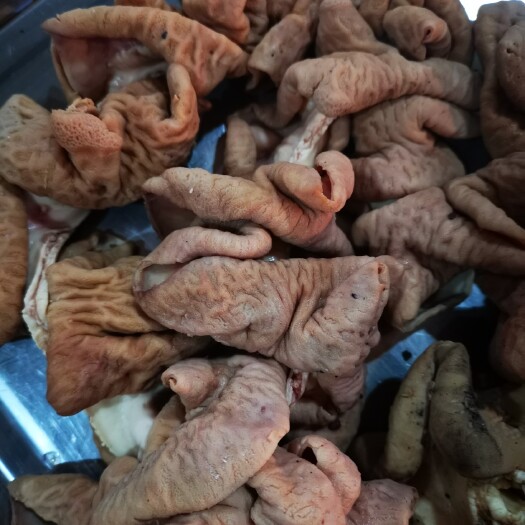 新乐市牛盘肠  去油  国产