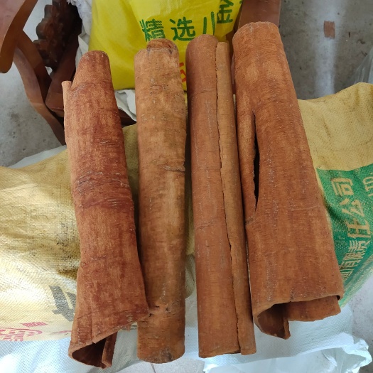 平南县桂皮     黄通