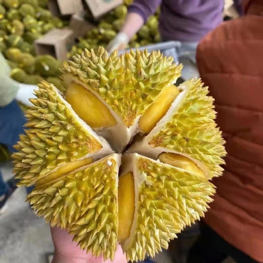 重庆市好吃