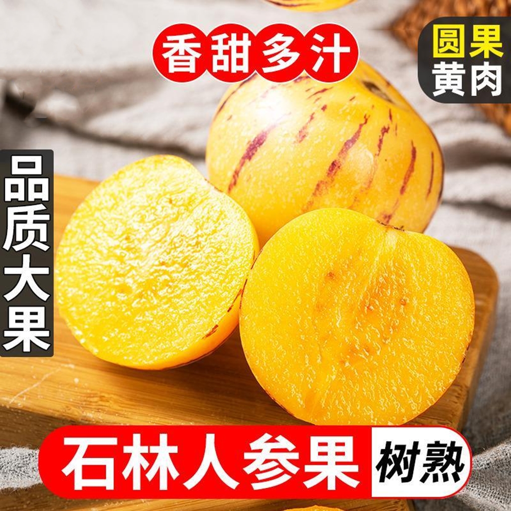 勐海县云南石林人参果树上熟9斤新鲜水果西双版纳人生果黄肉自然熟圆果
