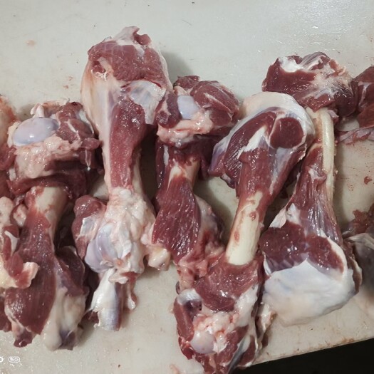 河间市国产加肉羊棒骨  超多肉  新鲜 口感好