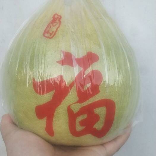 梅州梅州沙田柚