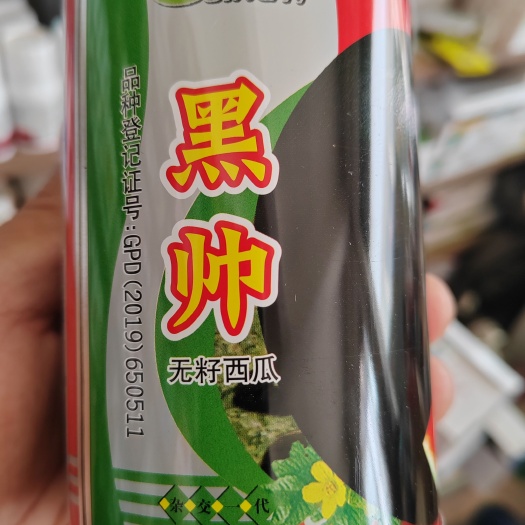 西瓜种子 黑帅无籽西瓜 纯黑圆型腊粉厚，33天