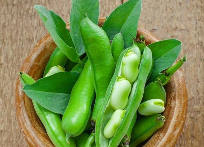 4月底江苏南通有青蚕豆