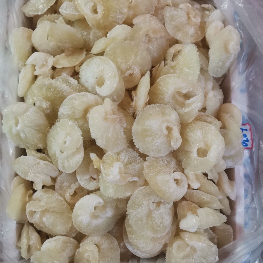 广州金钓翅水发金勾翅牙栋翅即食鱼翅