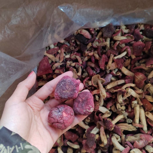 梧州广西特产象棋红菇