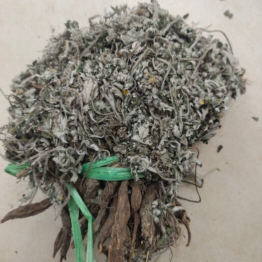 亳州翻白草，正品翻白草