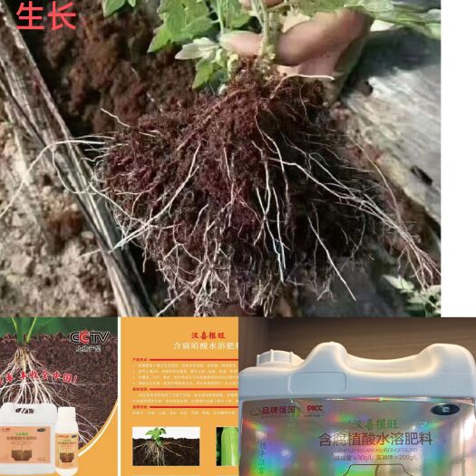 郸城县养根护根
