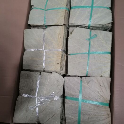 佛山批发零售精选干荷叶，切片荷叶，广佛地区可到仓库看货。
