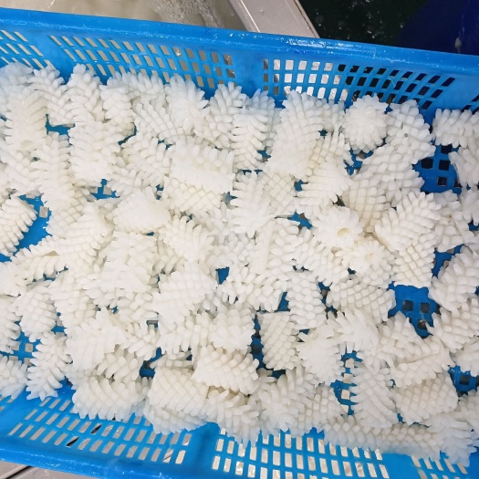 连云港新鲜鱿鱼花冷冻目鱼花肉无冰衣深海生鱿鱼