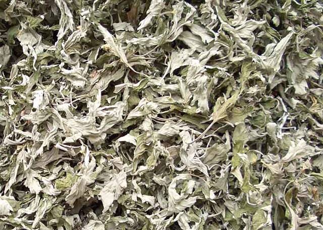 艾草(整棵)干根叶