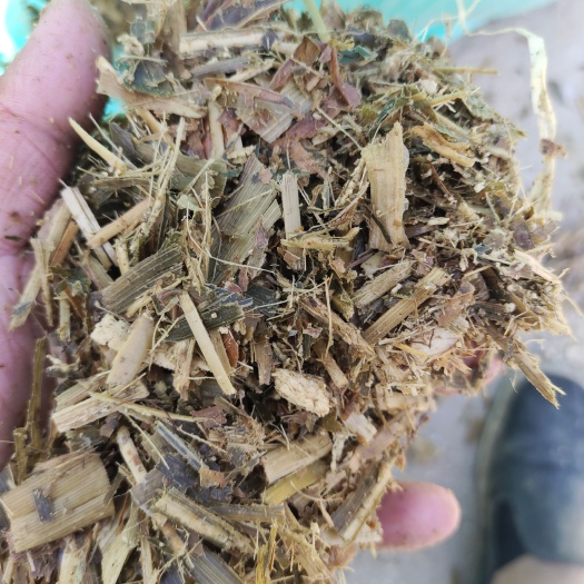 民权县裹包青储，牛羊福利
