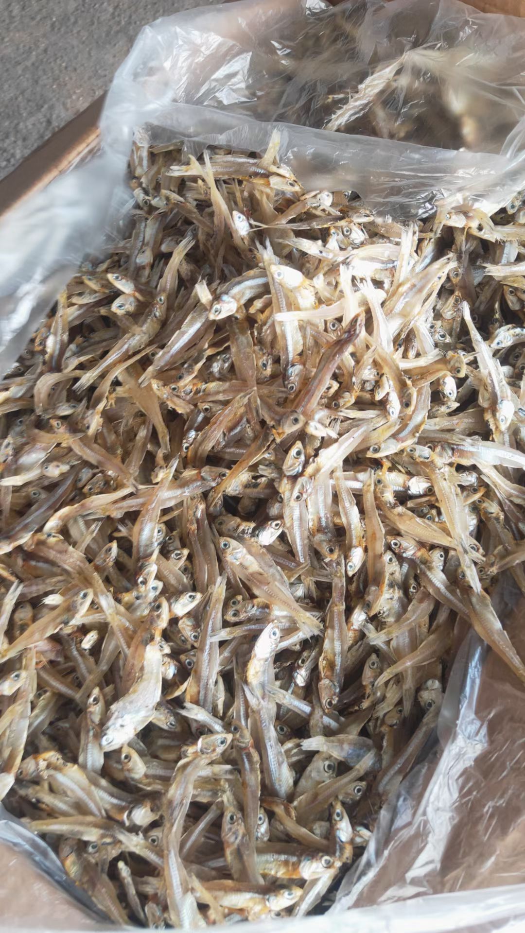 深海小鱼干，淡干咸干都有货，干度好，口感好