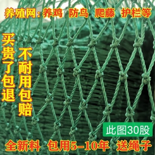 家禽养殖网尼龙网养鸡防飞网防鸟拦养殖网