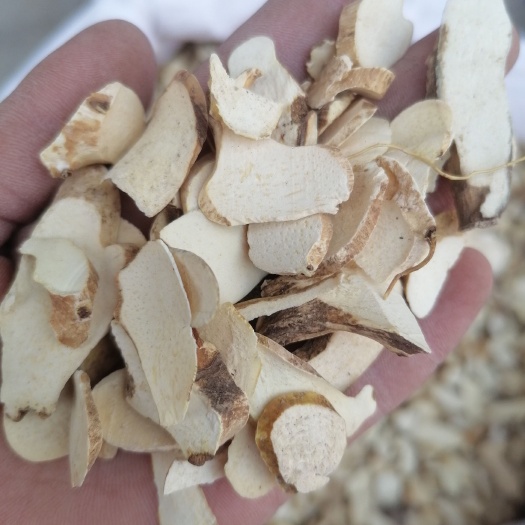 鄄城县穿山龙，又名穿地龙，穿龙骨，现货供应，中药材批发【鲁赣药材】