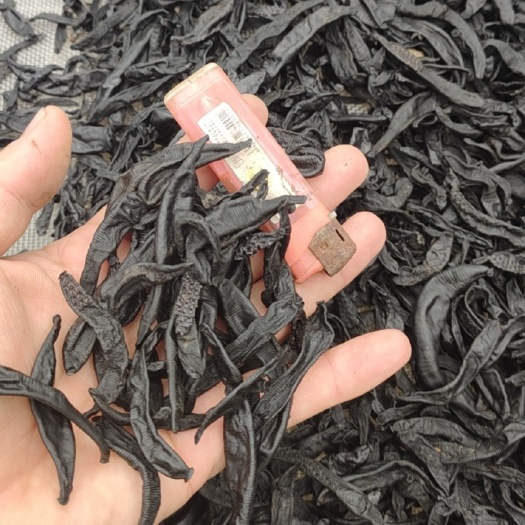 金边蚂蝗，菲牛蛭干品小货，小货