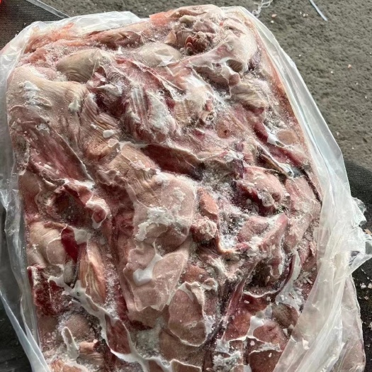 沂南县母猪抛开大花肠