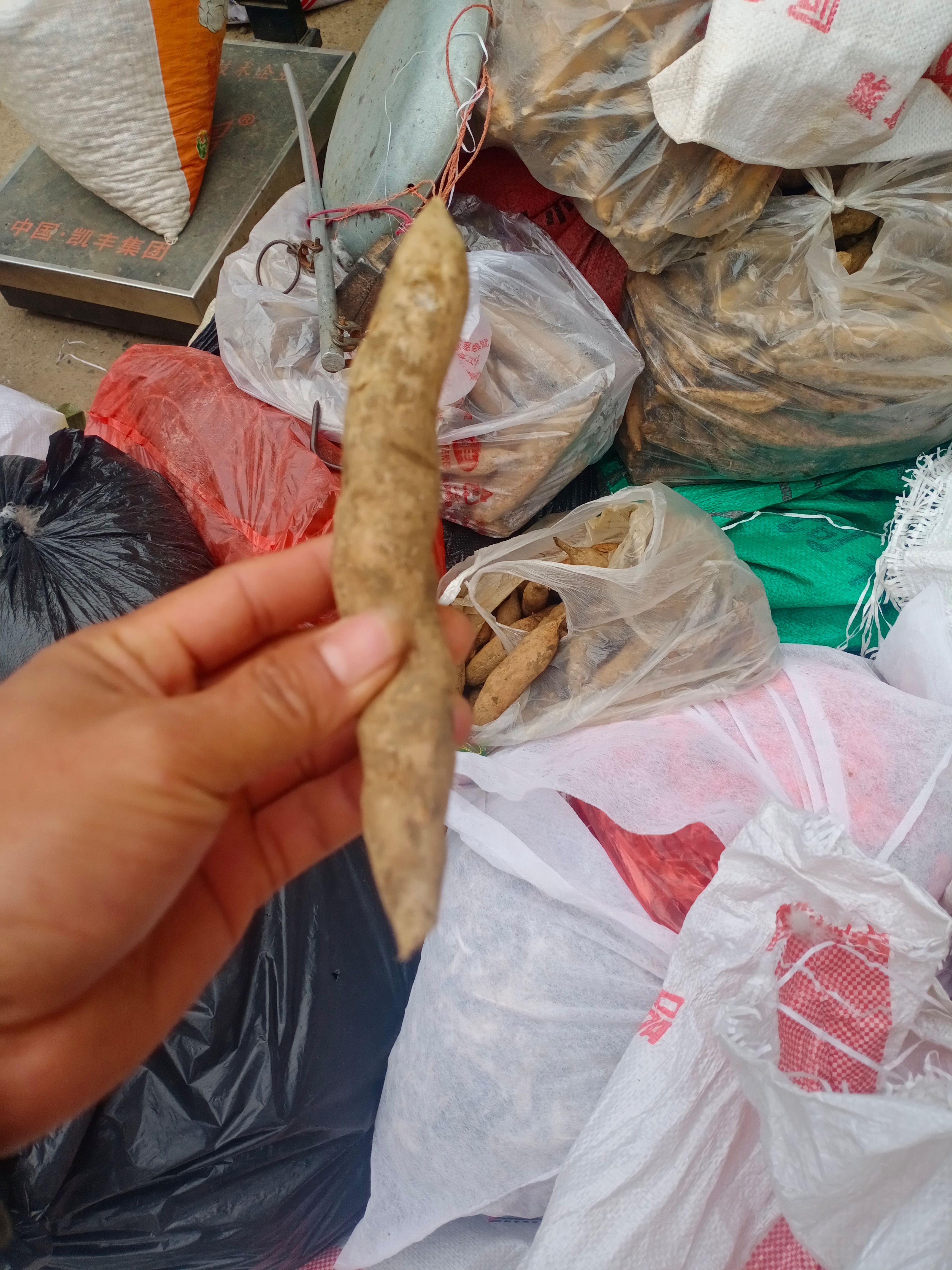 百色深山天冬，无流晒干，干货，新鲜