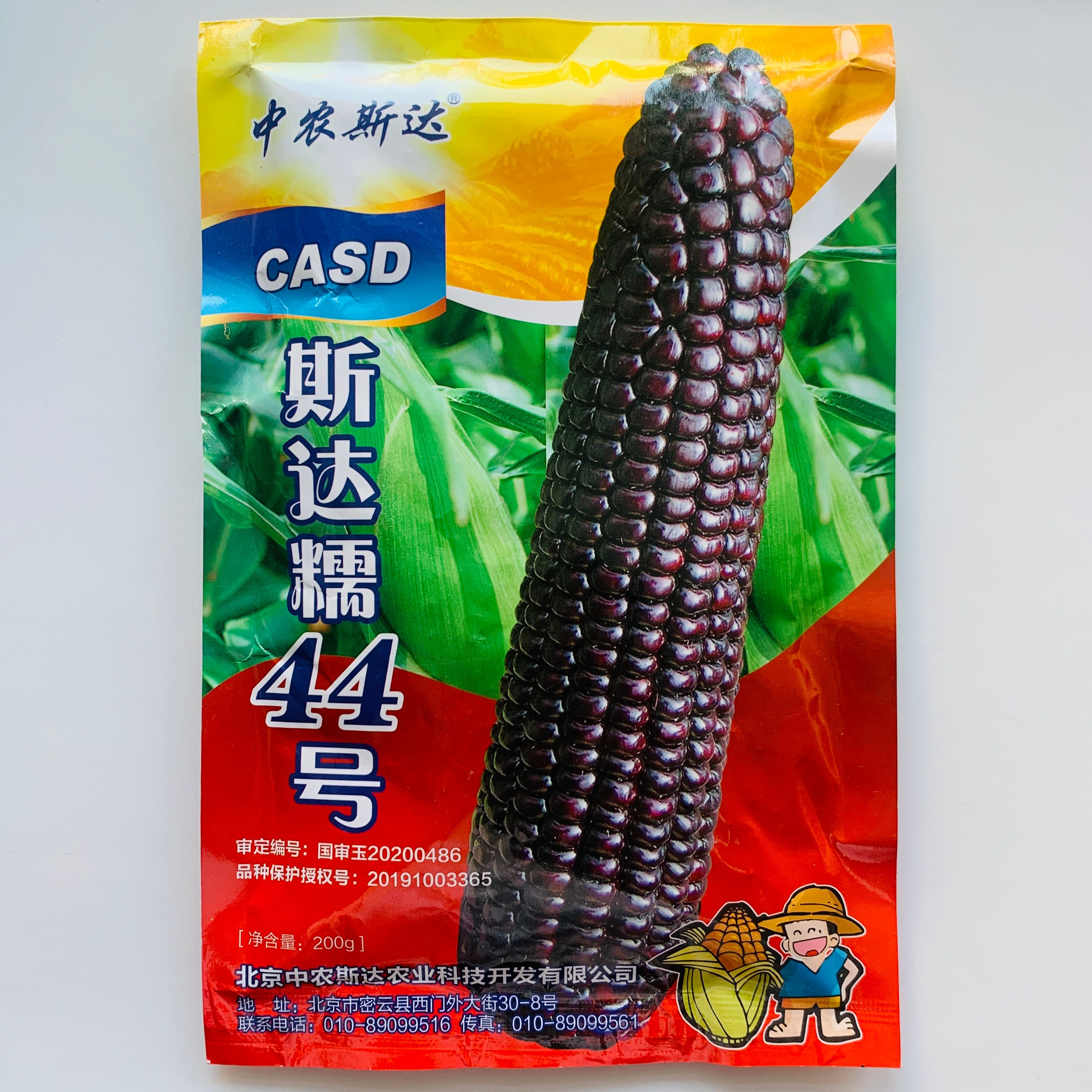 沭阳县黑玉米种子紫玉米种子彩色甜糯玉米种子鲜食大田用种春季四季