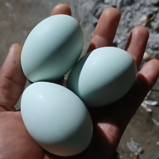 福贡县正宗土鸡蛋