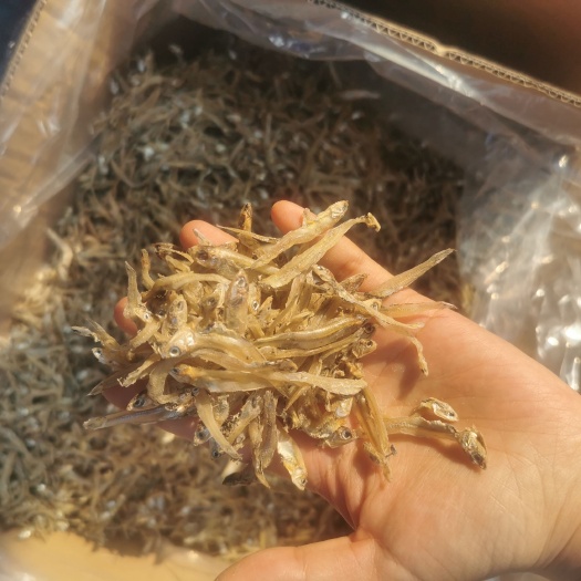 长沙生晒鱼干，小鱼仔产地直销