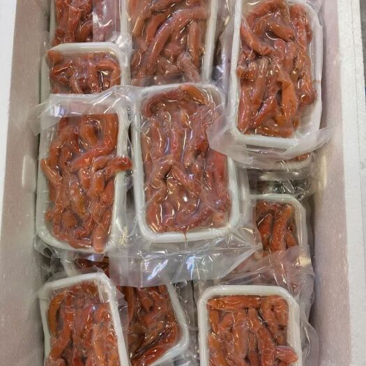 大连厚皮海肠