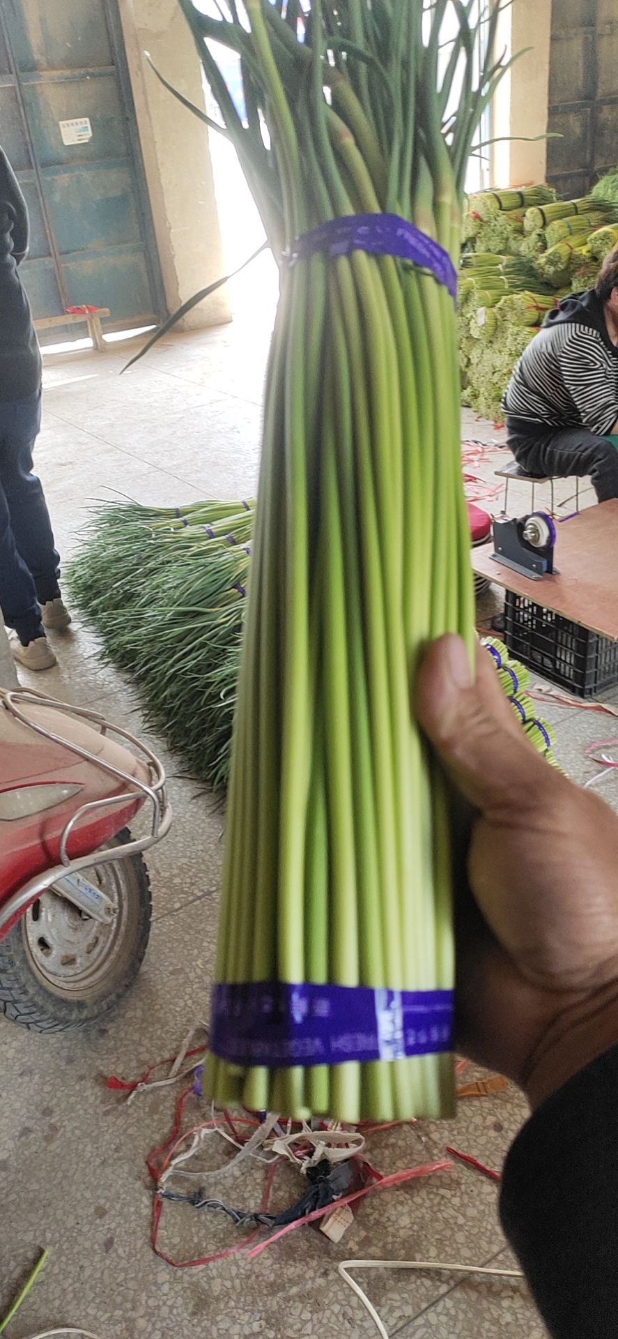 产地直发，基地货源，新鲜蔬菜。